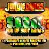 Download track Put Up Your Hands (Run Tingz Cru Remix)