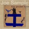 Download track The Pecan Tree