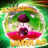 Download track Wonderland (Cueboy & Tribune Remix)