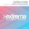 Download track Into Paradise (Original Mix)