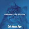 Download track Grand Backdrops For Resting Kittens