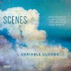 Download track Variable Clouds (Live)