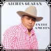 Download track Un Llanero Talentoso