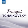 Download track Souvenir D'un Lieu Cher, Op. 42 (Arr. A. K. Glazunov For Violin And Orchestra) III. Mélodie