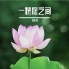 Download track 花朵开在七月的云彩