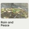 Download track Soft Gentle Sleeping Rain Sounds, Pt. 7