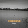 Download track Indecisive