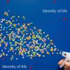 Download track Identity Of Life Another World (Remix)