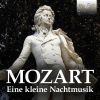 Download track Divertimento In D Major, K. 136 I. Allegro