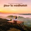 Download track Musique Instrumentale Pour Le Yoga