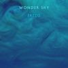 Download track Wonder Sky