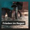 Download track Starker Regen Am Fenster