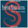 Download track Special Studio‬ Loops 128 (Tool 10)