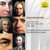Download track Concerto For 3 Violins In D Major, BWV 1064R III. Allegro