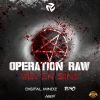 Download track Seven Sins (Operation Raw Anthem Radio Version)