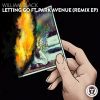 Download track Letting Go (TWO OWLS Remix)