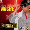 Download track Amor De Una Noche