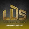 Download track Los Tlacololeros / Son De Victoria / Son De Mi Costa