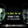 Download track I'm Sorry For You (Extended Version)