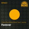 Download track Forever (Lerene) (Jose De Rico Remix)