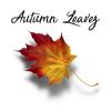 Download track Autumn Leavez