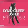 Download track Without You (Nicky Romero Remix)