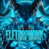 Download track Eletrophonk 1.0