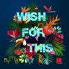 Download track Wish For This