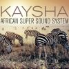 Download track African Super Sound System (DJ Ademar Remix)