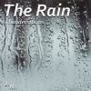 Download track Rain Thunder And Birds In The Night