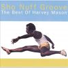 Download track Sho Nuff Groove