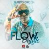 Download track Flow Digale