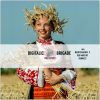 Download track Brigade (Geo Hard BT Remix)