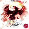 Download track Phoenix (Original Mix)