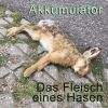 Download track Geigerzähler