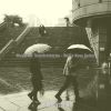 Download track Happy Ambience For Rainy Days