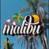 Download track Malibu (Remix)