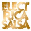 Download track Electrica Salsa (Roman Flugel Remix)