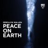 Download track Peace On Earth