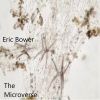 Download track The Microverse