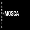 Download track Cannabis Na Mosca (Kakakaka)