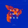 Download track Flying Bird