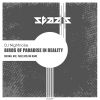 Download track Birds Of Paradise In Reality (Pablo Roldán Remix)