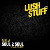 Download track Soul2Soul (Original Mix)