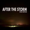 Download track After The Storm