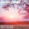 Download track Nature Sounds For Relaxation, Pilates & Shiatsu Massage (Peaceful Stream) 09
