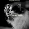 Download track Ambience (Sleeping Cats)