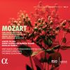 Download track Horn Concerto In D Major, K. 412 / 386b: I. Allegro