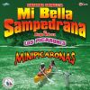 Download track Minipicaronas De Marimba Pura: El Valle De La Ermita / Tajumulco Querido