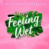 Download track Feeling Wet (Radio Edit)